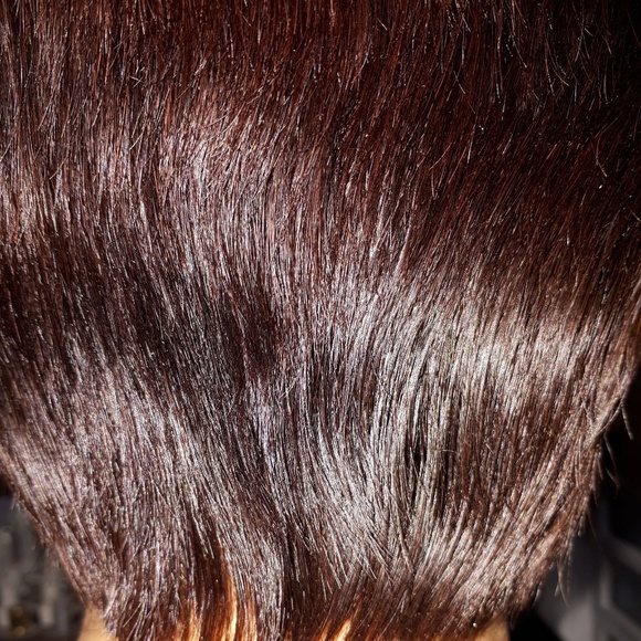 Meet your Posher, Merle - Picture 1 of 1